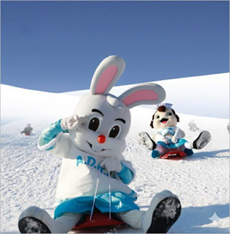 [과천] 서울랜드 평일한정 자유이용권(대인/소인)