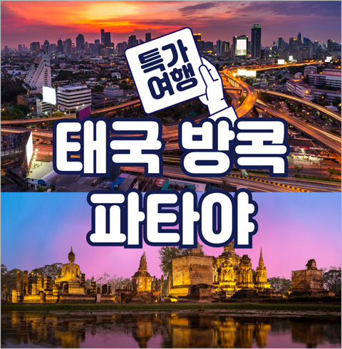 방콕 파타야 3박5일 투어 