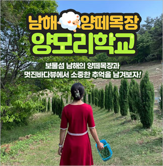 [남해] 남해 양떼목장 양모리학교 ...